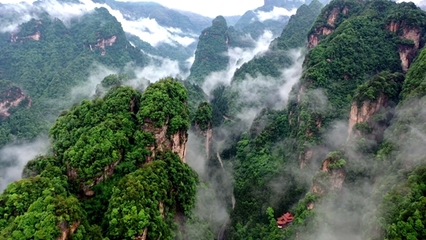 張家界武陵源 “旅游+”模式，激活全域旅游新動能