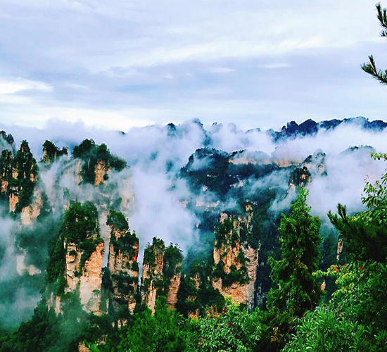 張家界葛根粉 山水間的自然饋贈，旅途中的養生珍品