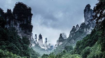 暑期旅游預測發(fā)布 避暑勝地迎客流高峰，四大特色產品點亮張家界之旅