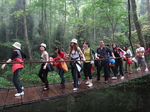 張家界旅游全攻略 注意事項、必買特產與經典游玩路線